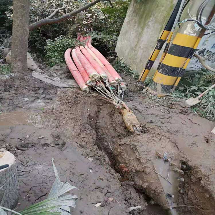 海棠拖拉管